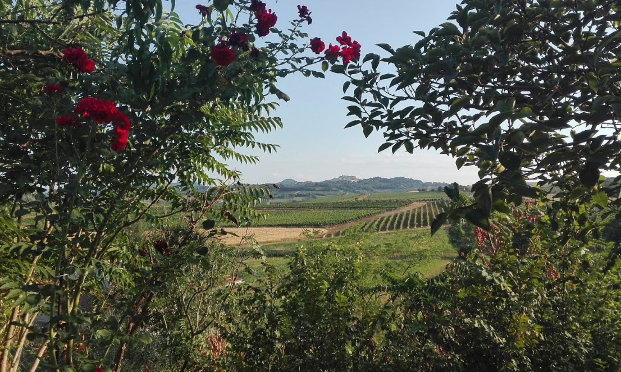 agriturismo la chiesina